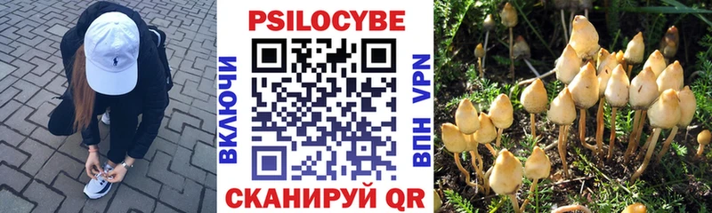 Галлюциногенные грибы MAGIC MUSHROOMS  Николаевск-на-Амуре 